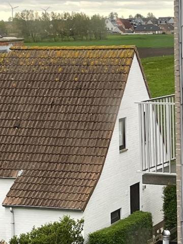 The Pipers Bed & Breakfast Middelkerke Bagian luar foto